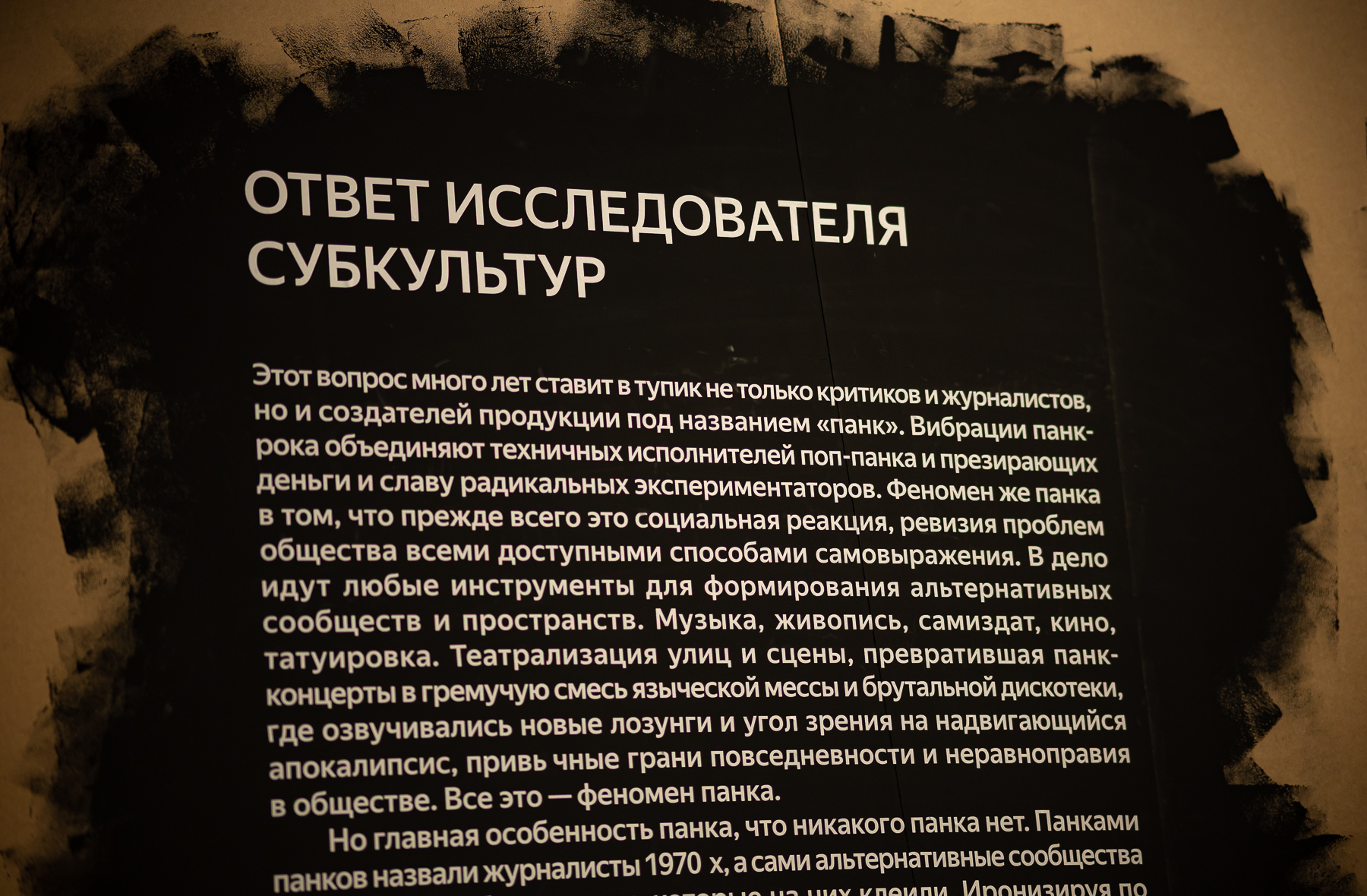 Студенты кафедры ФиНХК посетили выставку «Панк-культура. Король и Шут»